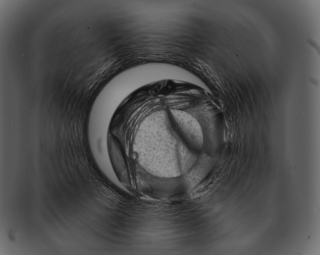 X0000092300697200710051220