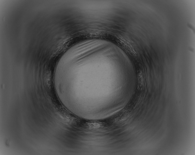 X0000092300698200710051220