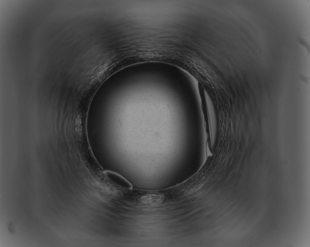 X0000092300700200710051220