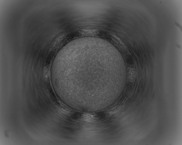 X0000092300701200710051220