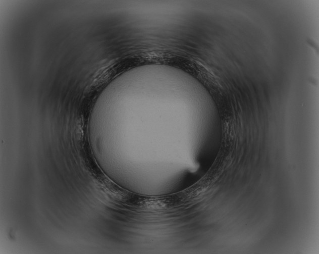 X0000092300702200710051220