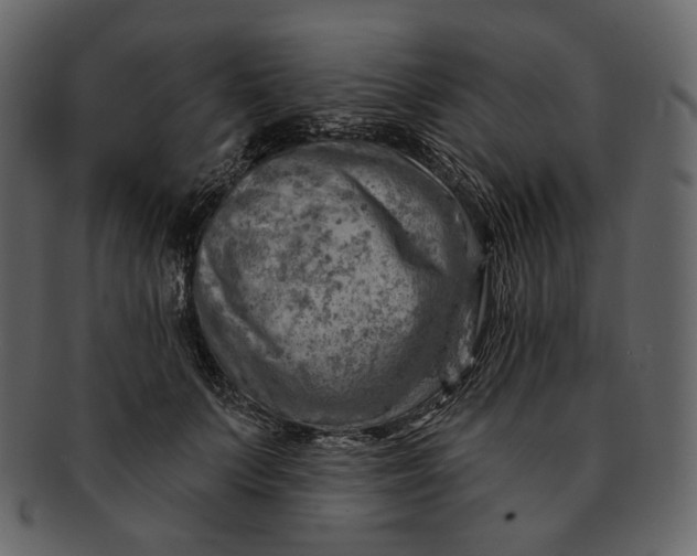 X0000092300703200710051220