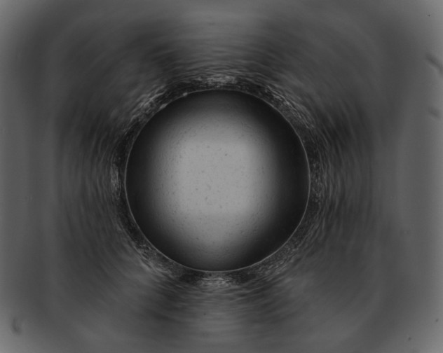 X0000092300704200710051220