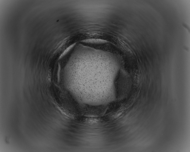 X0000092300710200710051220