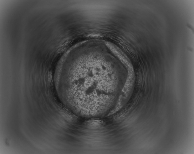 X0000092300711200710051220