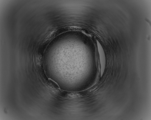 X0000092300712200710051220