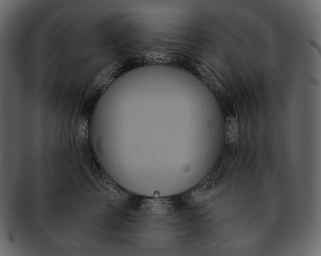 X0000092300713200710051220