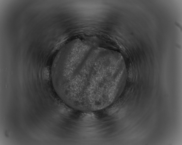 X0000092300715200710051220