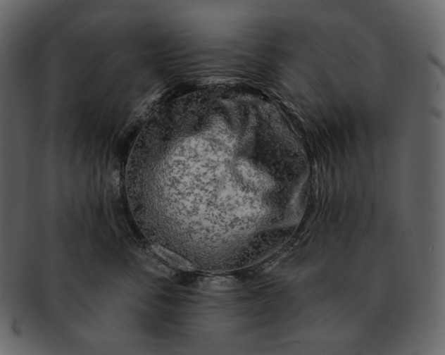 X0000092300716200710051220