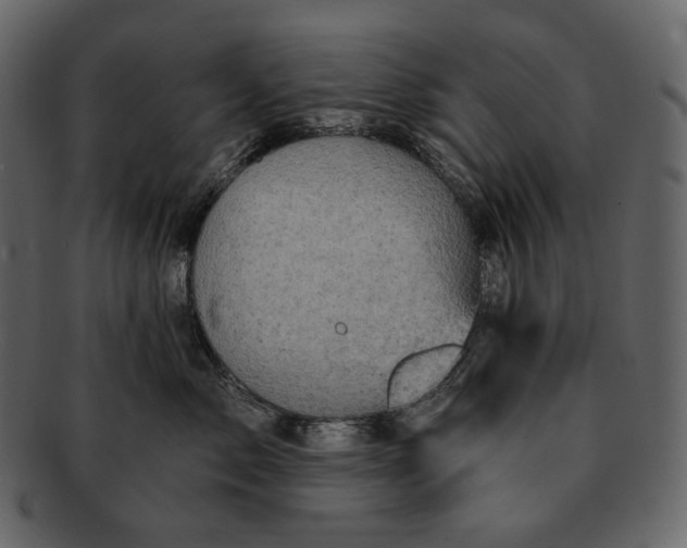 X0000092300717200710051220