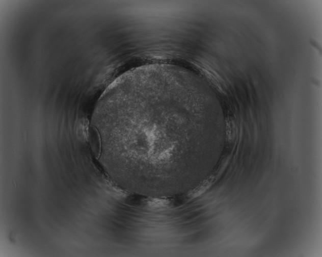 X0000092300718200710051220