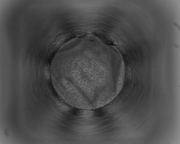 X0000092300719200710051220