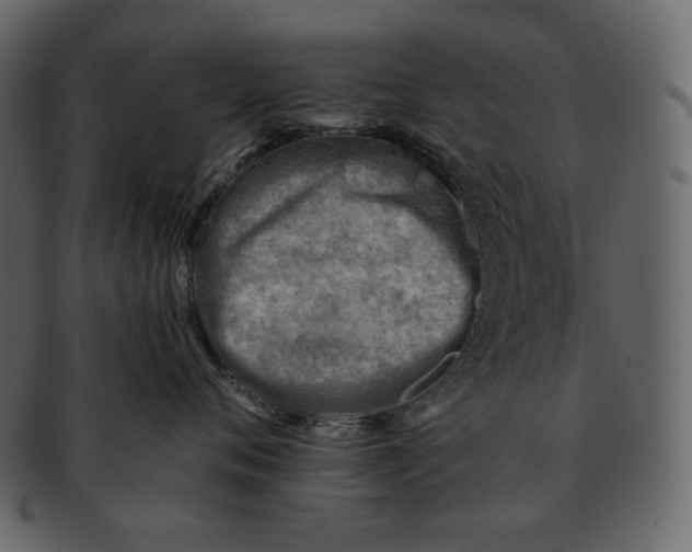 X0000092300720200710051220