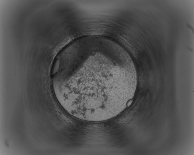 X0000092300721200710051219