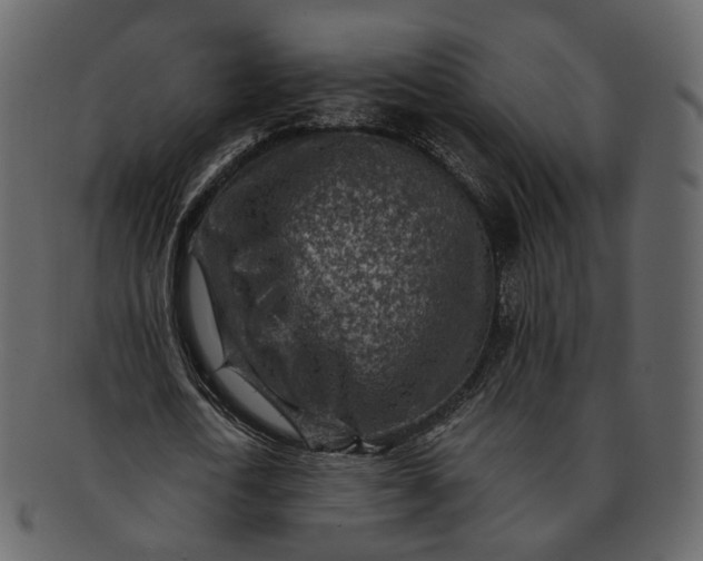 X0000092300722200710051219