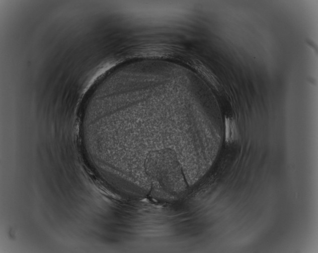 X0000092300723200710051220