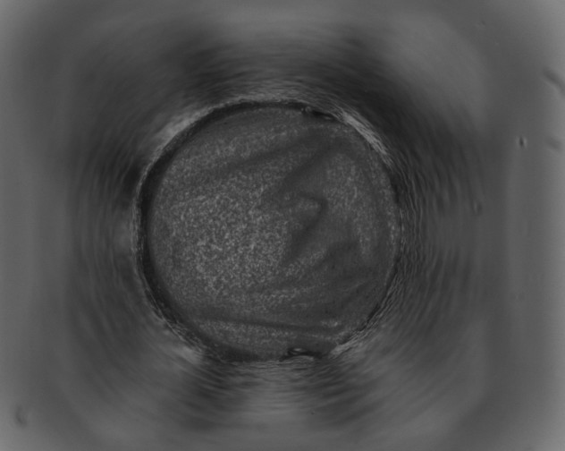 X0000092300724200710051220