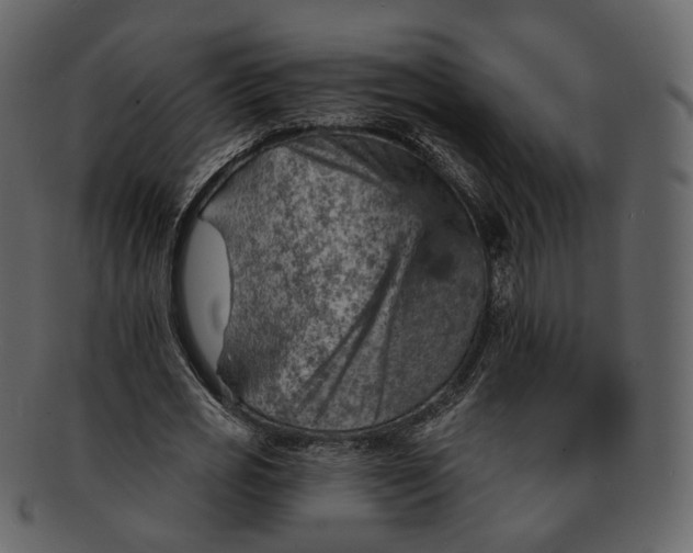 X0000092300725200710051220