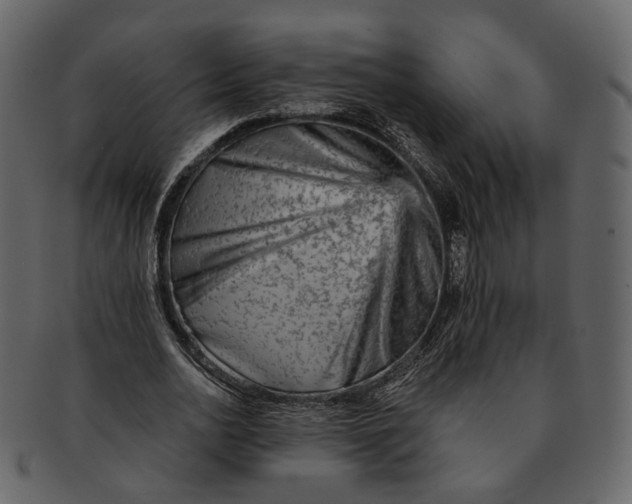 X0000092300726200710051220