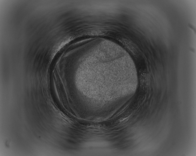 X0000092300727200710051220