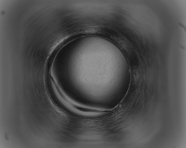 X0000092300728200710051220