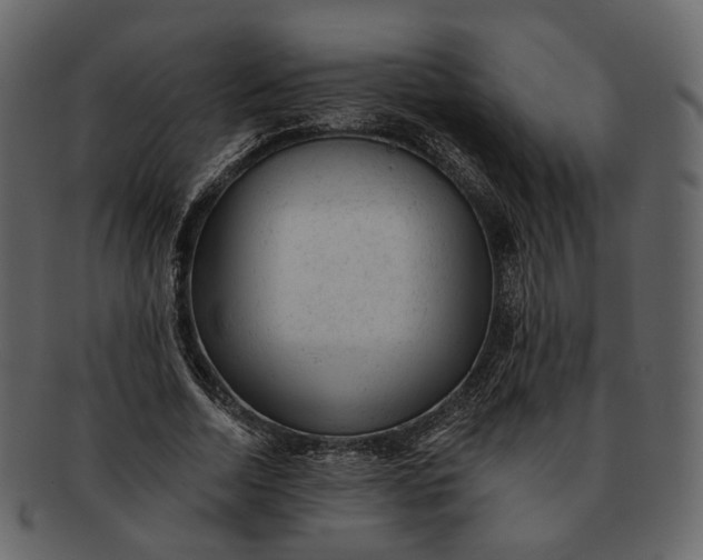 X0000092300730200710051220