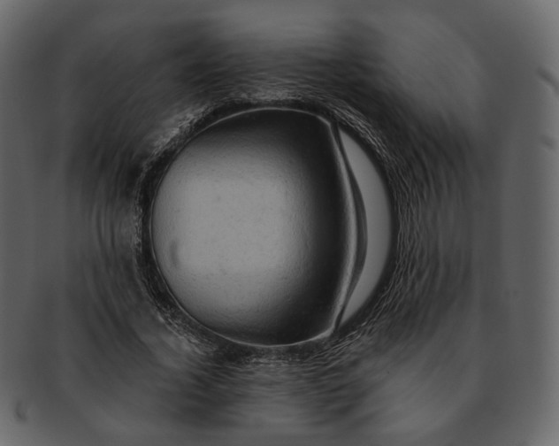 X0000092300732200710051220