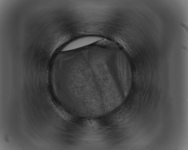 X0000092300735200710051220