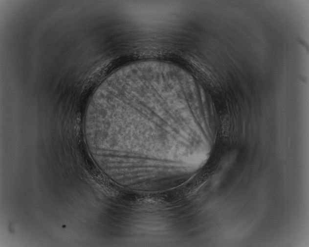 X0000092300737200710051220