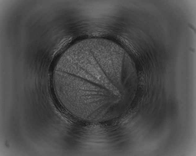 X0000092300738200710051220