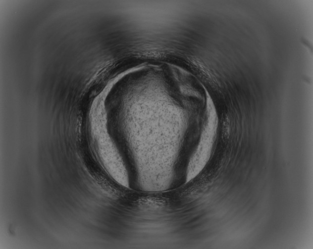 X0000092300739200710051220