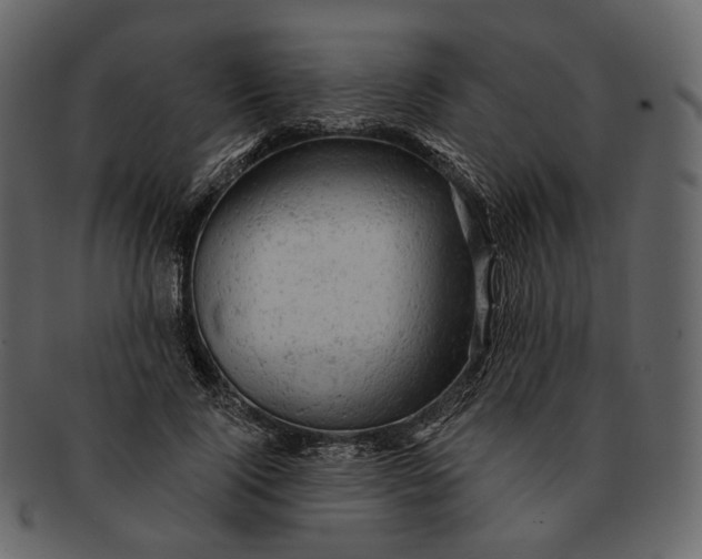 X0000092300740200710051220