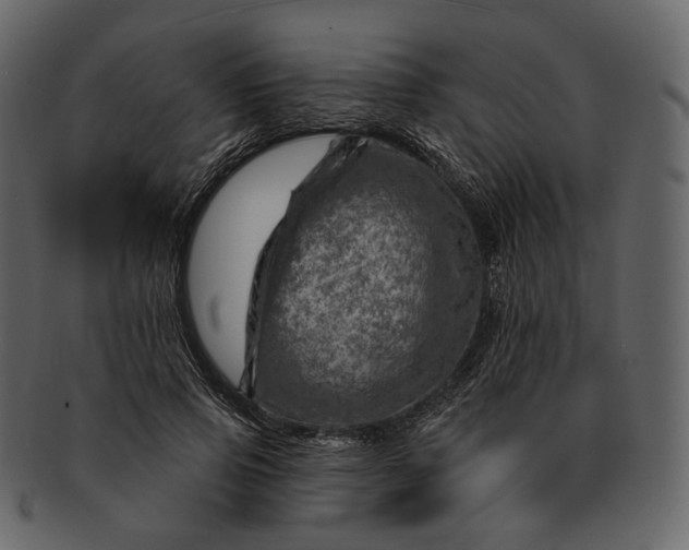 X0000092300741200710051220