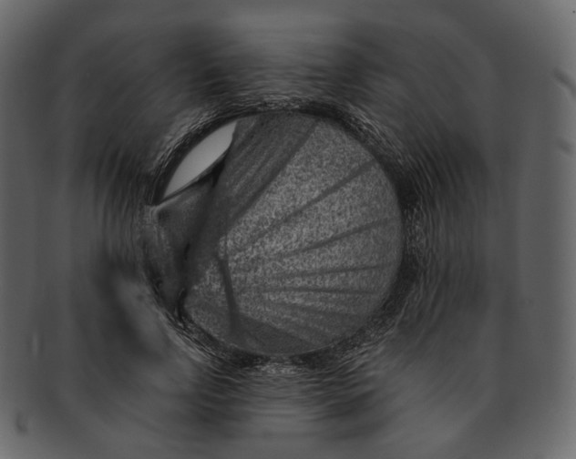 X0000092300742200710051220