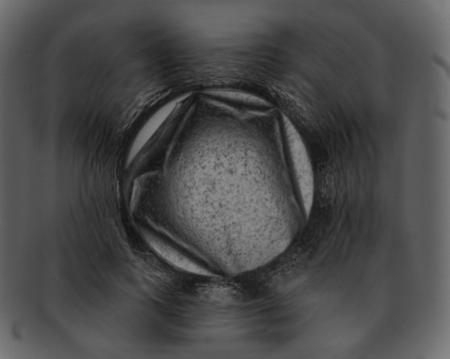 X0000092300743200710051220