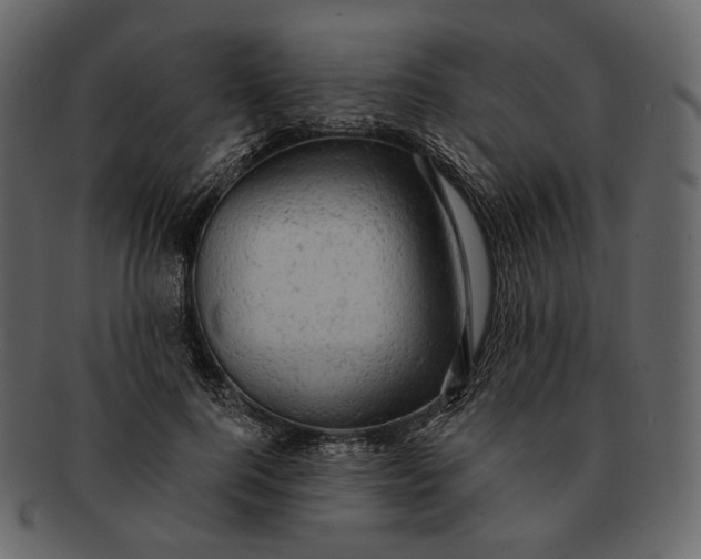 X0000092300744200710051220