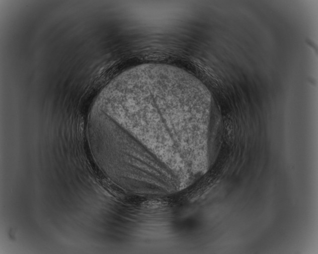 X0000092300745200710051220