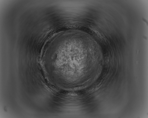 X0000092300749200710051220