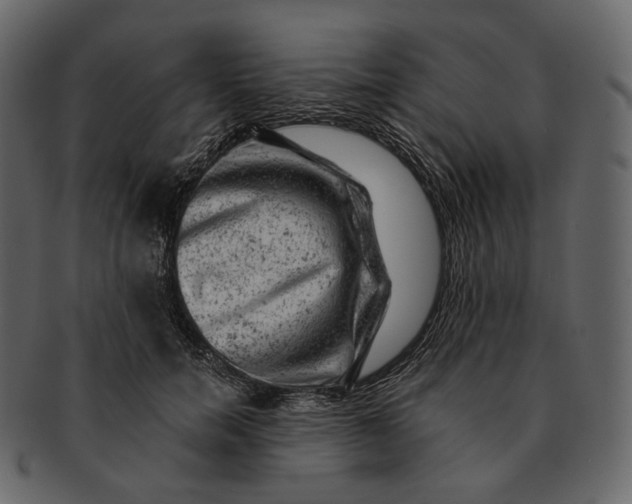 X0000092300750200710051220