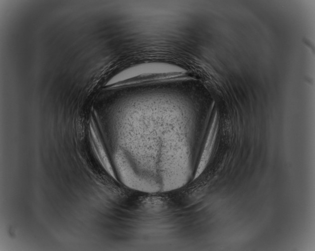 X0000092300751200710051220