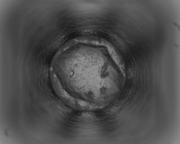 X0000092300753200710051220