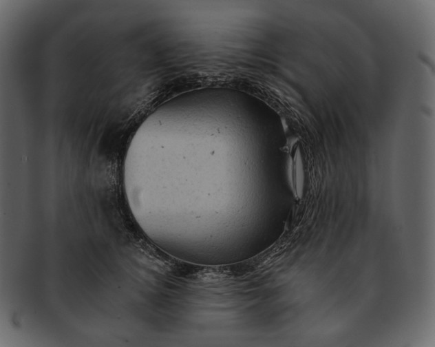 X0000092300756200710051220