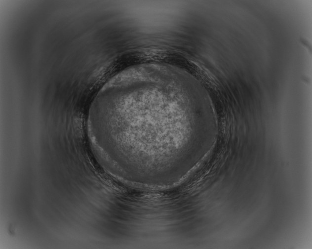 X0000092300757200710051220