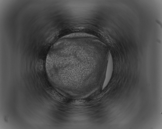 X0000092300758200710051220