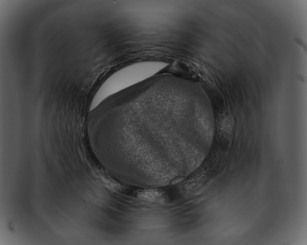 X0000092300759200710051220