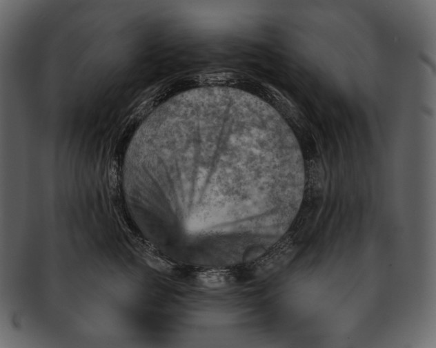 X0000092300761200710051220