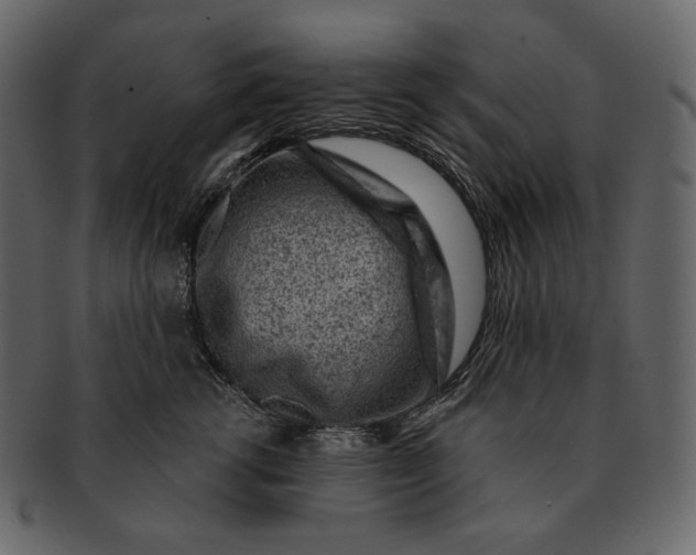 X0000092300762200710051220