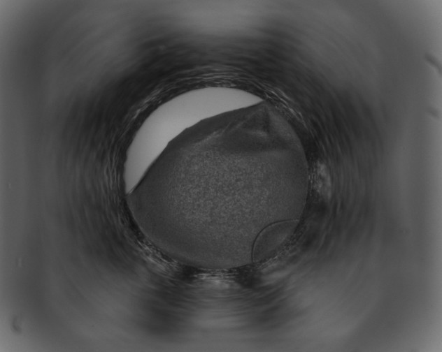 X0000092300763200710051220