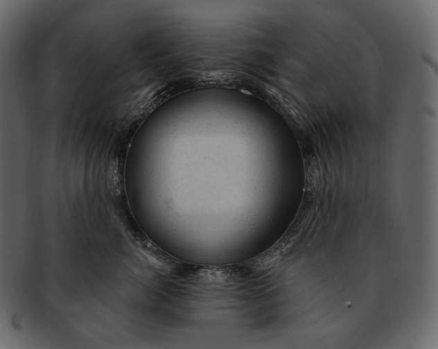 X0000092300764200710051220