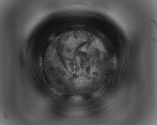 X0000092300765200710051220